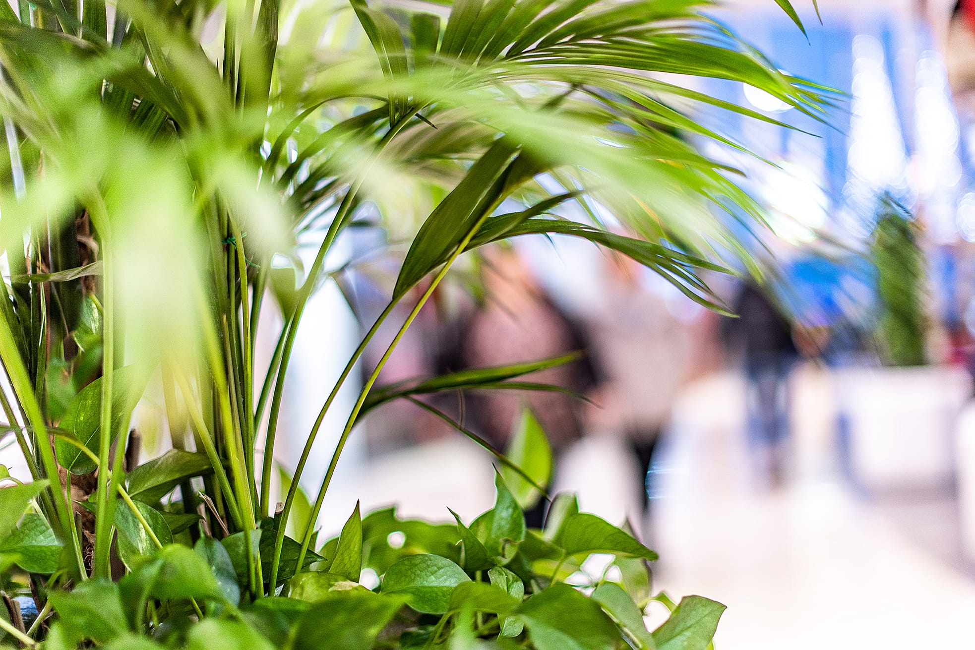 Blommor & Delikatesser